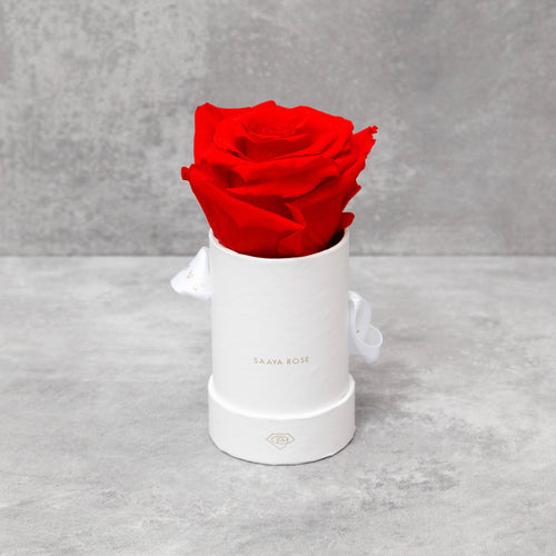 Single White Box (Red Rose)