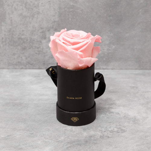 Single Black Box (Blush Pink Rose)