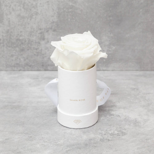 Single White Box (White Rose)