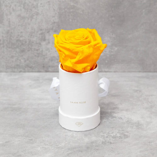Single White Box (Yellow Rose)