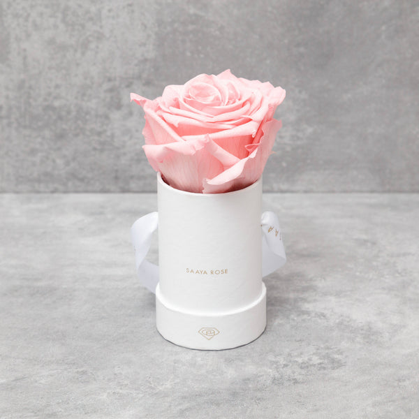 One Rosa Container 19AprOff_single_14_aa88e344-ac8b-42b1-b875-df6031c00638_grande.jpg?v ...