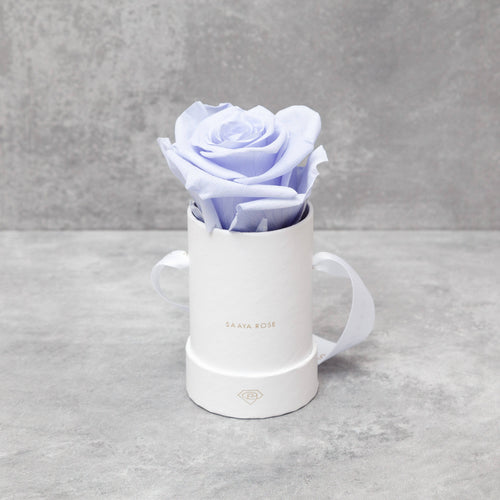 Single White Box (Purple Haze Rose)