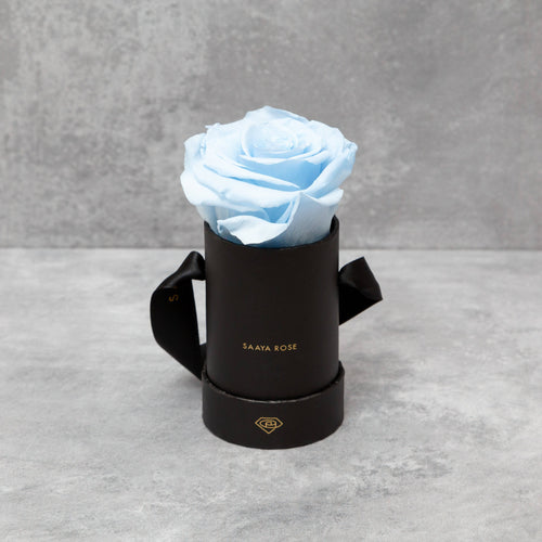 Single Black Box (Sky Blue Rose)