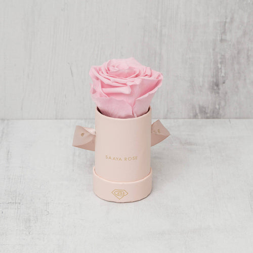 Single Pink Box (Blush Pink Rose)