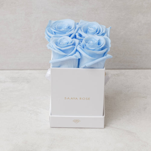4 Sky Blue Roses (White Box)