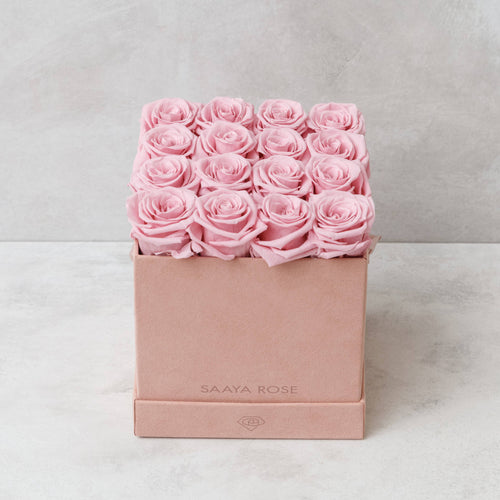 16 Blush Pink Roses (Pink Suede Box)