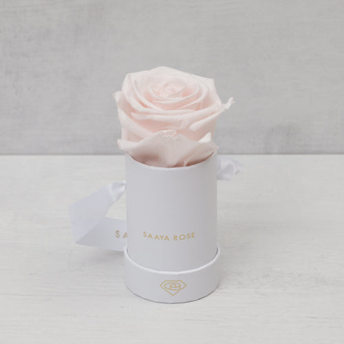 Single White Box (Light Pink Rose)